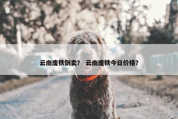 云南废铁倒卖？ 云南废铁今日价格？
