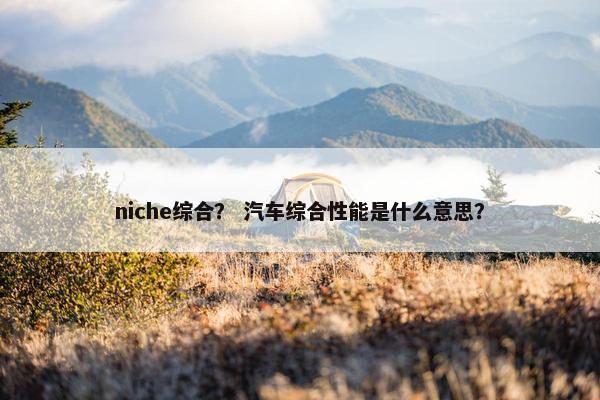 niche综合？ 汽车综合性能是什么意思？