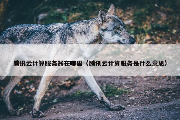腾讯云计算服务器在哪里（腾讯云计算服务是什么意思）