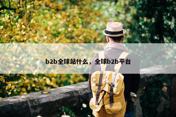 b2b全球站什么，全球b2b平台