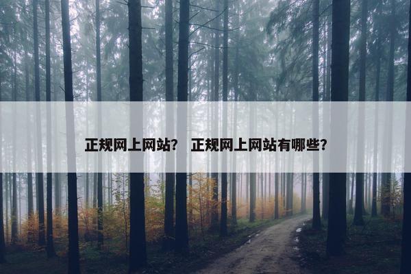 正规网上网站？ 正规网上网站有哪些？