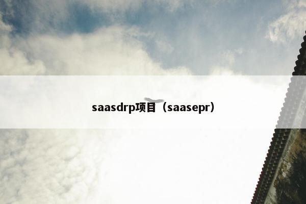 saasdrp项目（saasepr）