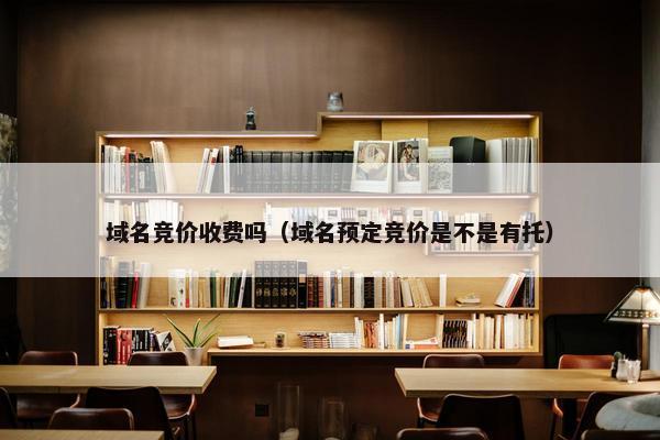 域名竞价收费吗（域名预定竞价是不是有托）