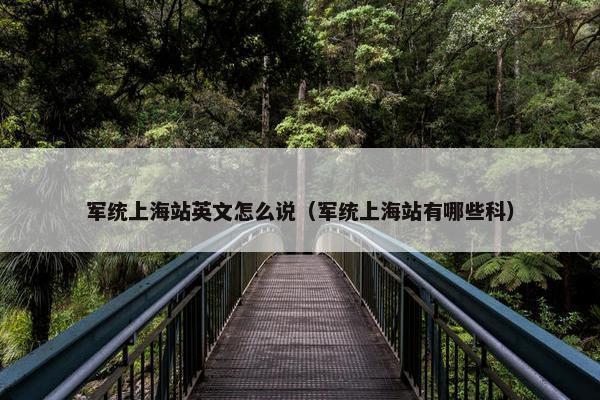 军统上海站英文怎么说（军统上海站有哪些科）