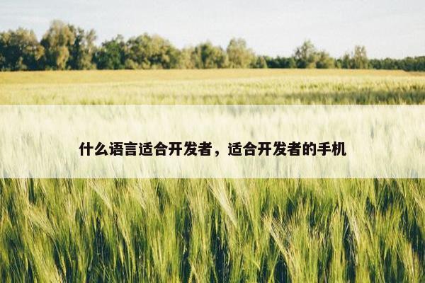 什么语言适合开发者，适合开发者的手机