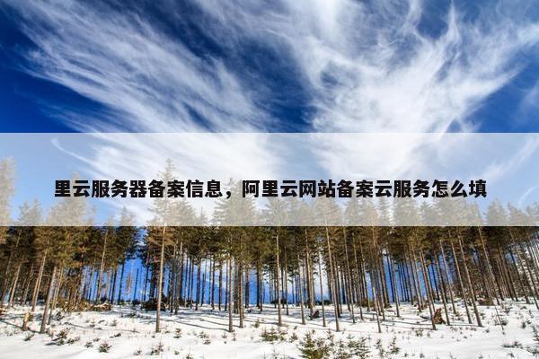 里云服务器备案信息，阿里云网站备案云服务怎么填