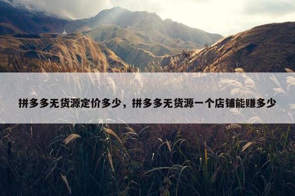 拼多多无货源定价多少，拼多多无货源一个店铺能赚多少