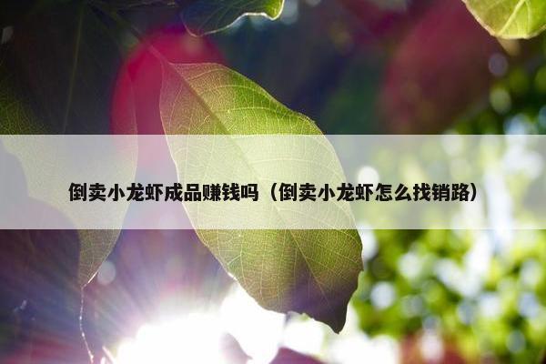 倒卖小龙虾成品赚钱吗（倒卖小龙虾怎么找销路）