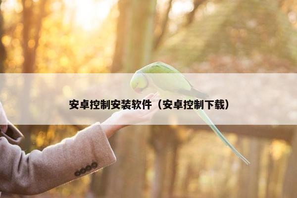 安卓控制安装软件（安卓控制下载）