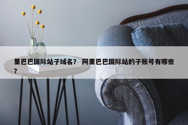 里巴巴国际站子域名？ 阿里巴巴国际站的子账号有哪些？