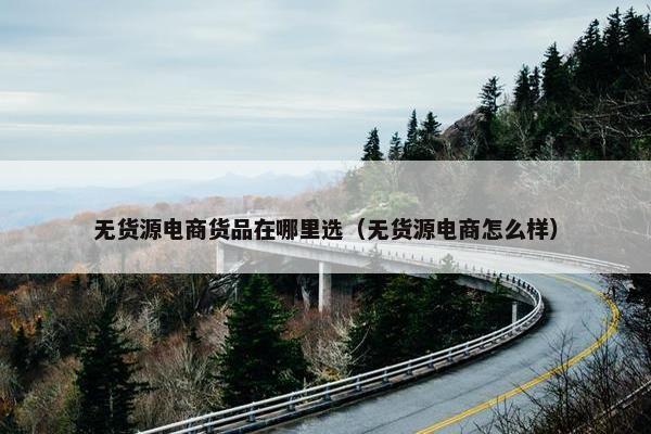 无货源电商货品在哪里选（无货源电商怎么样）