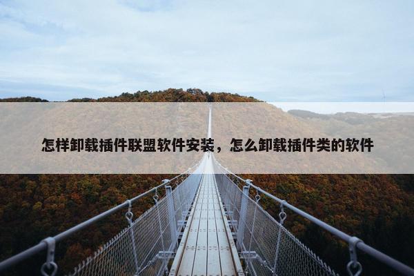 怎样卸载插件联盟软件安装，怎么卸载插件类的软件