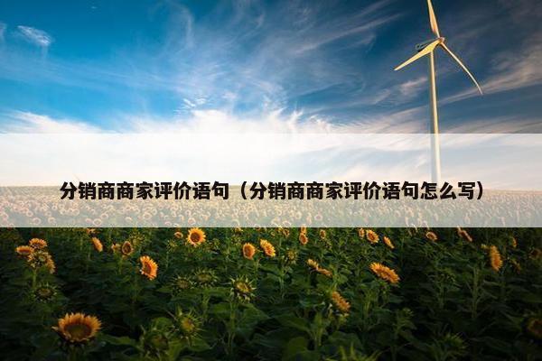 分销商商家评价语句（分销商商家评价语句怎么写）