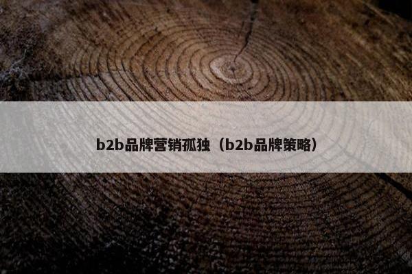b2b品牌营销孤独（b2b品牌策略）