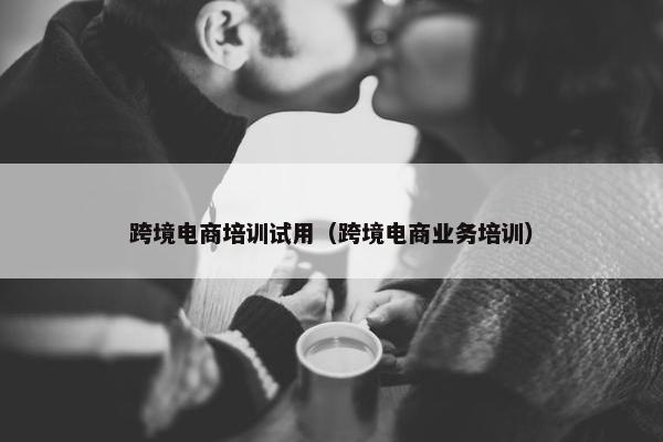 跨境电商培训试用（跨境电商业务培训）