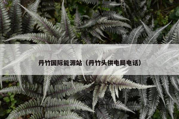 丹竹国际能源站（丹竹头供电局电话）