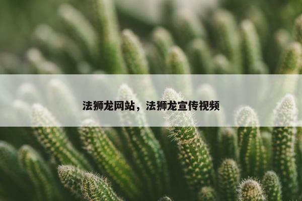 法狮龙网站，法狮龙宣传视频