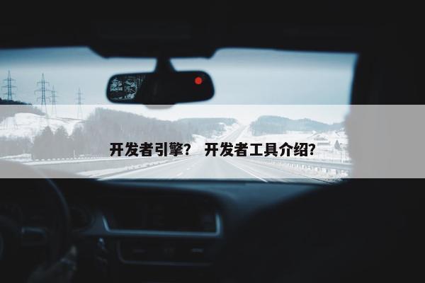 开发者引擎？ 开发者工具介绍？