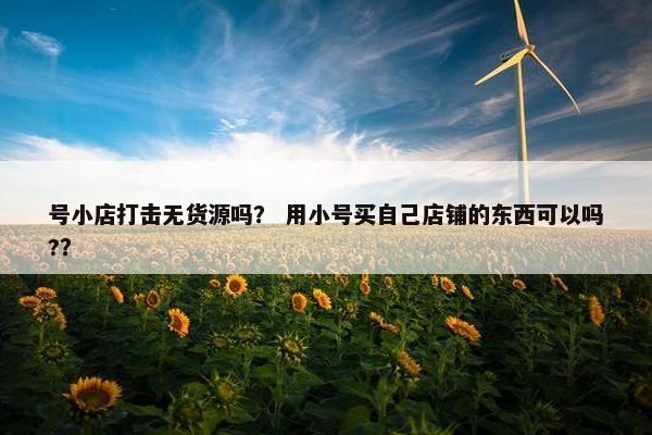 号小店打击无货源吗？ 用小号买自己店铺的东西可以吗?？