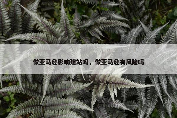 做亚马逊影响建站吗，做亚马逊有风险吗
