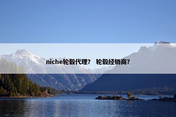 niche轮毂代理？ 轮毂经销商？