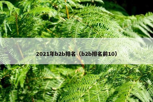 2021年b2b排名（b2b排名前10）