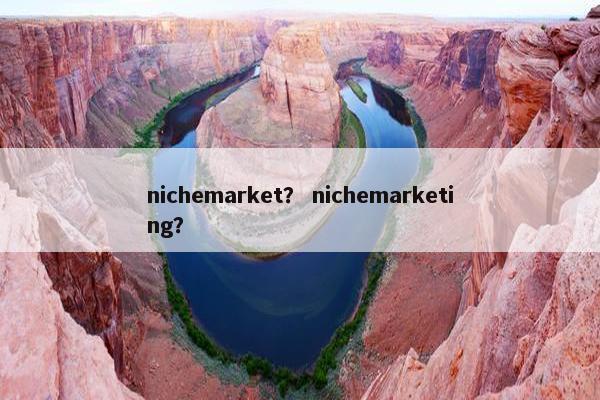 nichemarket？ nichemarketing？