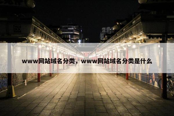 www网站域名分类，www网站域名分类是什么