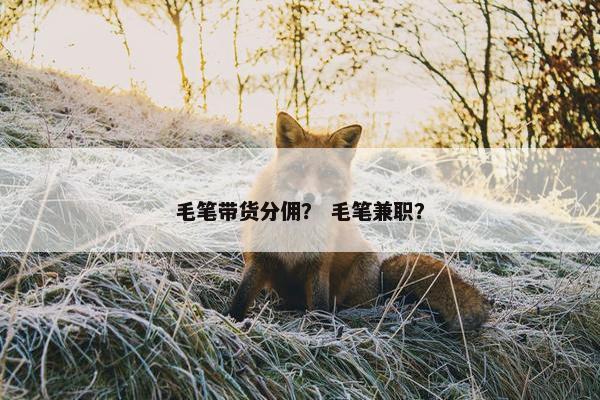 毛笔带货分佣？ 毛笔兼职？