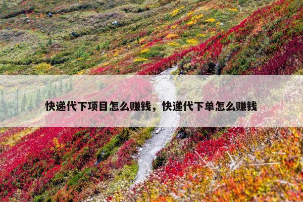 快递代下项目怎么赚钱，快递代下单怎么赚钱