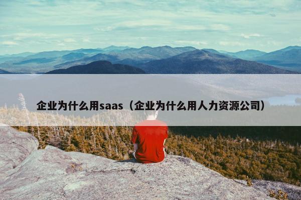 企业为什么用saas（企业为什么用人力资源公司）