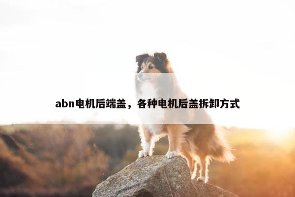 abn电机后端盖，各种电机后盖拆卸方式