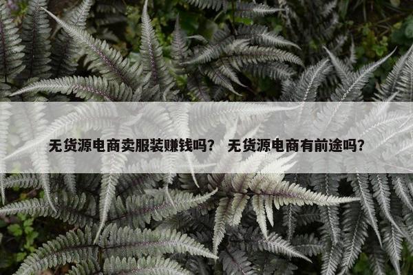 无货源电商卖服装赚钱吗？ 无货源电商有前途吗？