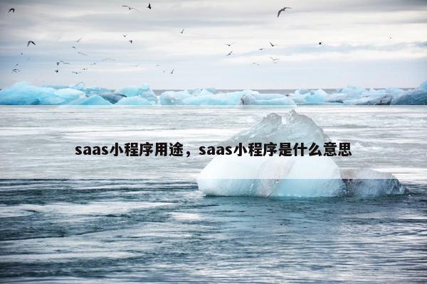 saas小程序用途，saas小程序是什么意思