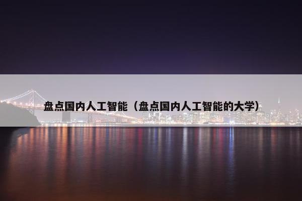 盘点国内人工智能（盘点国内人工智能的大学）