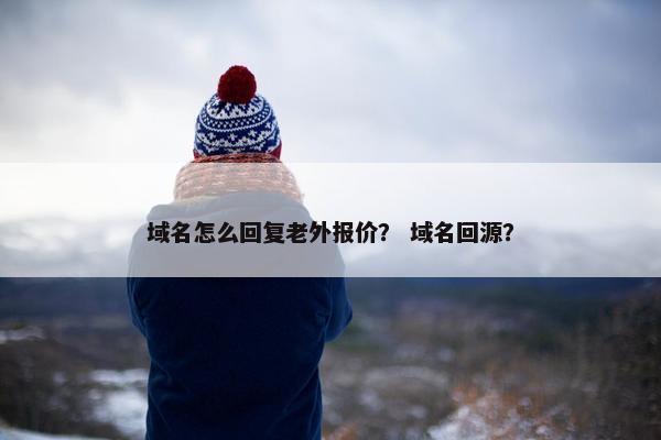 域名怎么回复老外报价？ 域名回源？