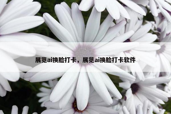 展览ai换脸打卡，展览ai换脸打卡软件