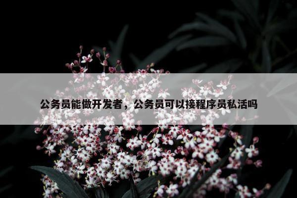 公务员能做开发者，公务员可以接程序员私活吗