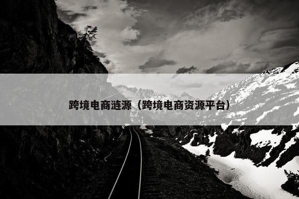 跨境电商涟源（跨境电商资源平台）