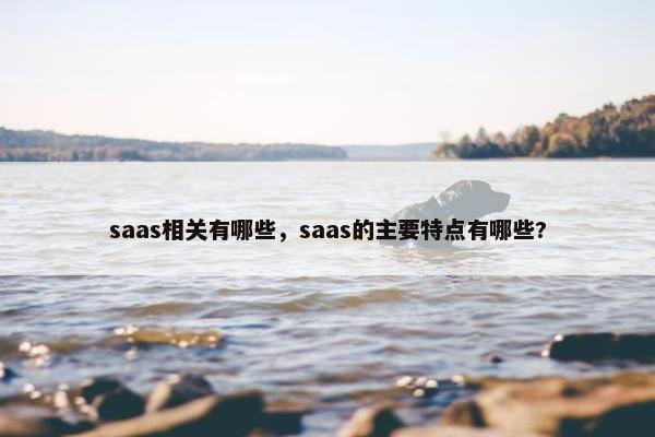 saas相关有哪些，saas的主要特点有哪些?