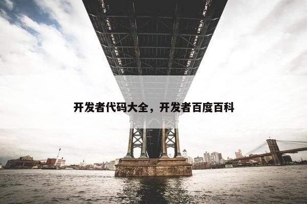 开发者代码大全，开发者百度百科