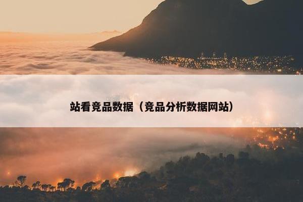 站看竞品数据（竞品分析数据网站）