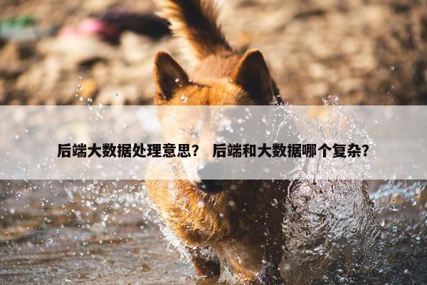 后端大数据处理意思？ 后端和大数据哪个复杂？
