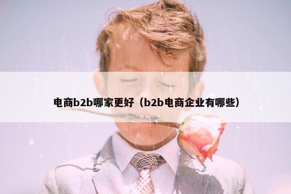 电商b2b哪家更好（b2b电商企业有哪些）