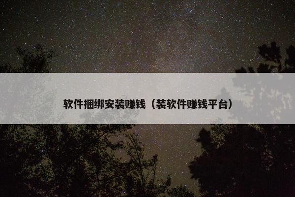 软件捆绑安装赚钱（装软件赚钱平台）