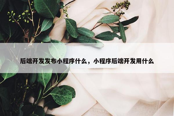 后端开发发布小程序什么，小程序后端开发用什么