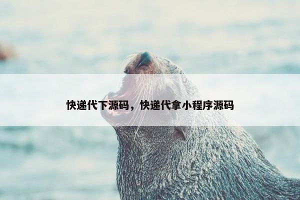 快递代下源码，快递代拿小程序源码