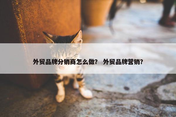 外贸品牌分销商怎么做？ 外贸品牌营销？