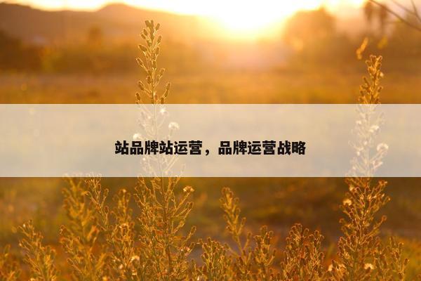 站品牌站运营，品牌运营战略
