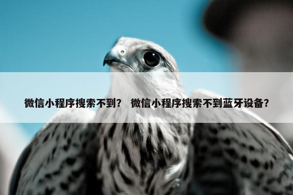 微信小程序搜索不到？ 微信小程序搜索不到蓝牙设备？